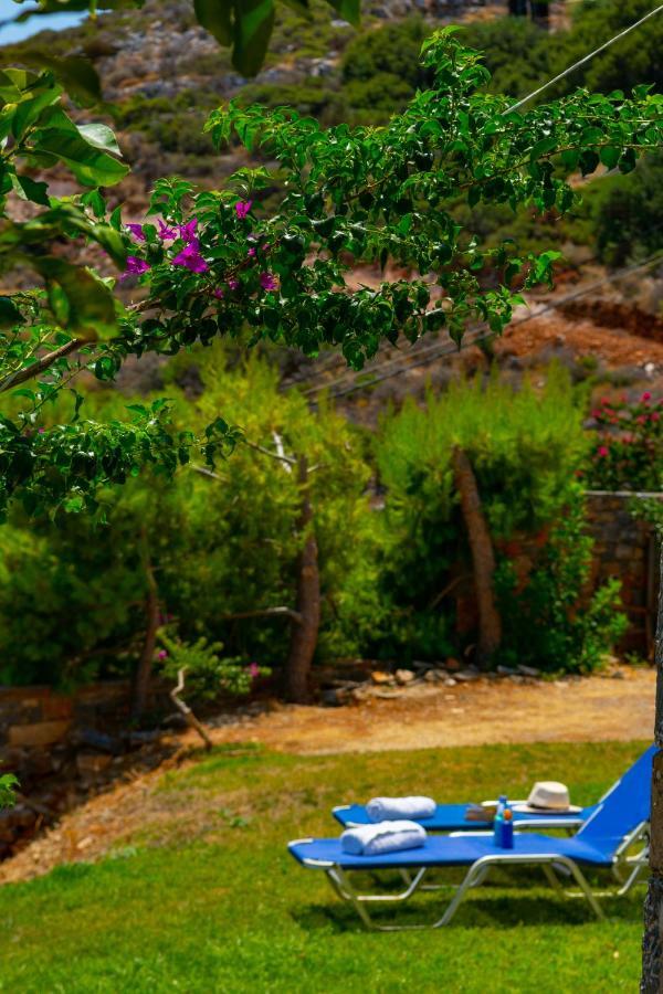 Aggeliki Stunning View * Elounda (Crete)